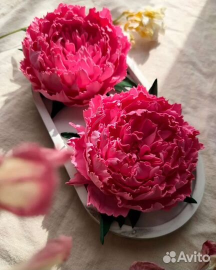 Пионы (резинки /зажимы)