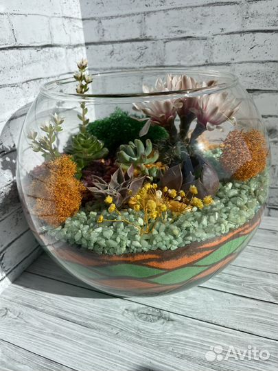 Флорариум с суккулентами