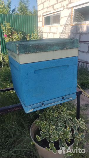 Улей для пчел ППУ