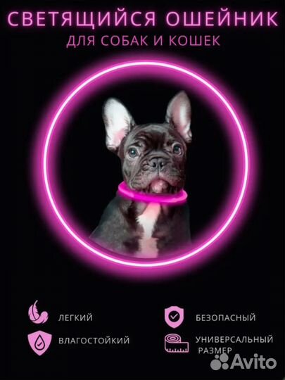 Ошейник светодиодный