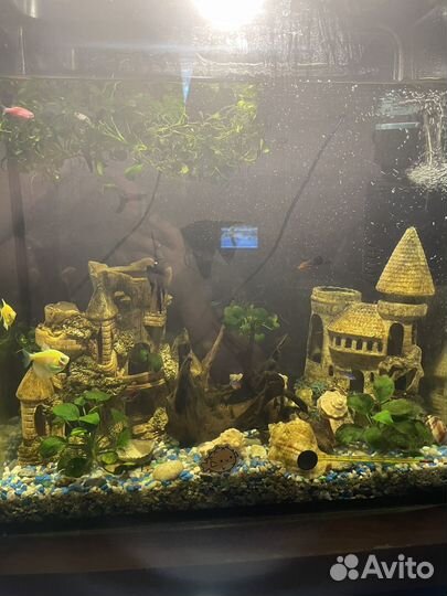 Аквариум с рыбками и тумбой