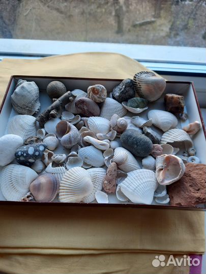 Камушки морские ракушки поделки в детский сад