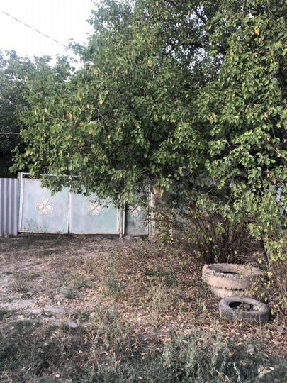 Дом 49,1 м² на участке 55,4 сот.