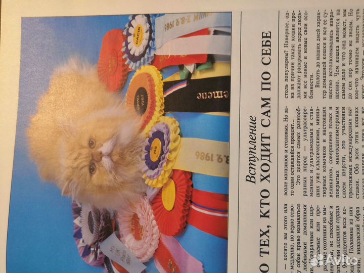 Подарочные книги о кошках