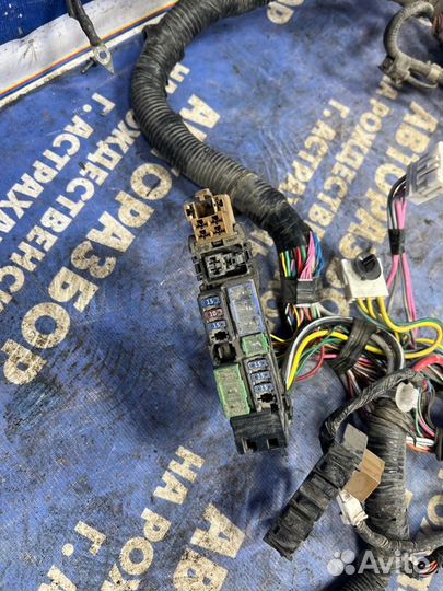 Проводка подкапотная Nissan Teana J32 седан VQ25DE