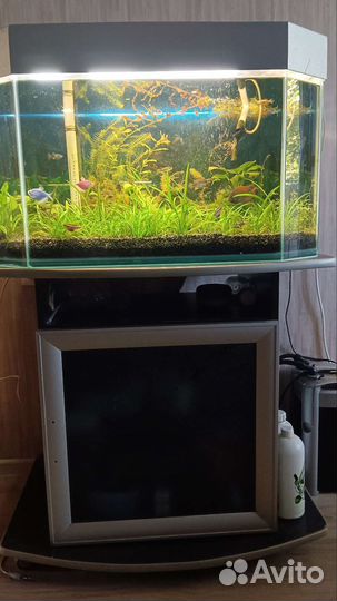 Аквариум