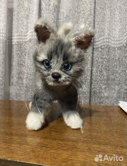 Котёнок