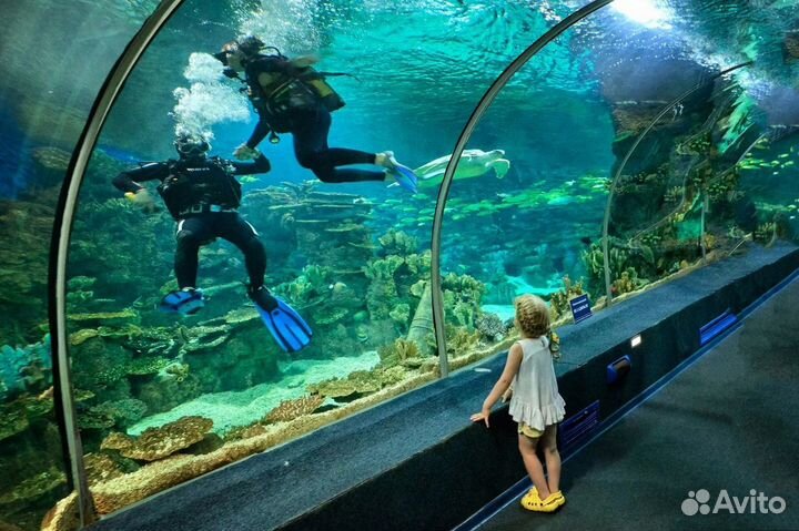 Дельфинарий Ривьера / Эксклюзив 4 в 1