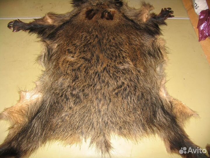 Кабанья шкура