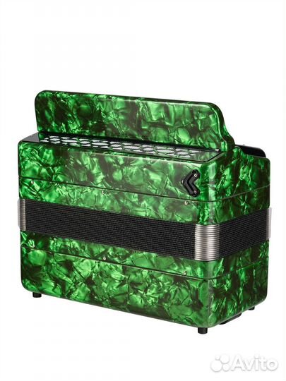 BN-40-GR Баян ученический двухголосный Этюд-205М2