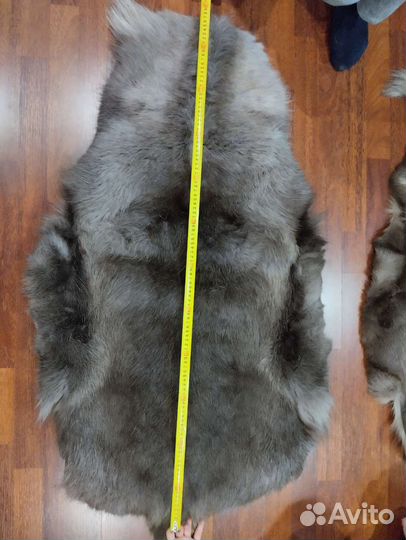 Шкура оленя