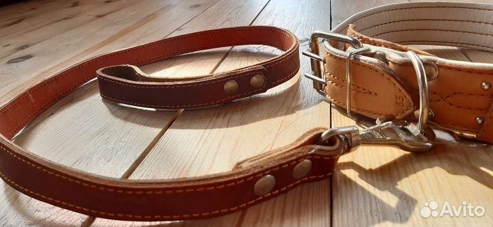 Ошейник для крупной собаки