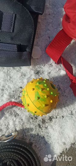 Ошейник для крупной собаки