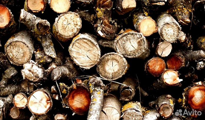 Дрова ольха осина