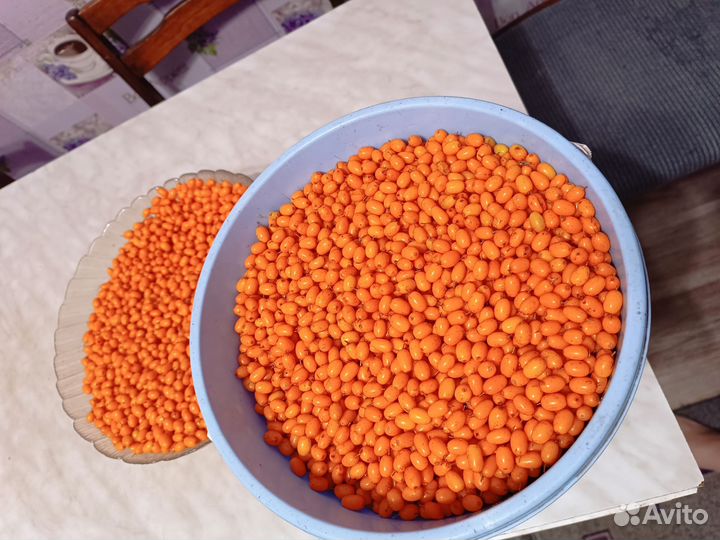 Облепиха и калина ягоды