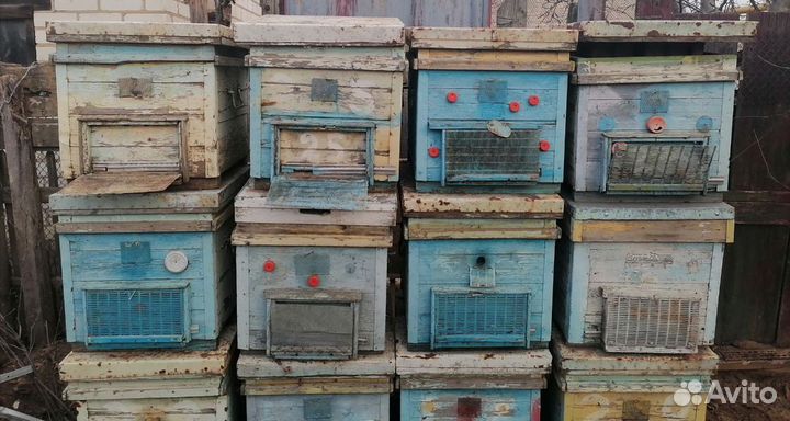 Продам ульи для пчел