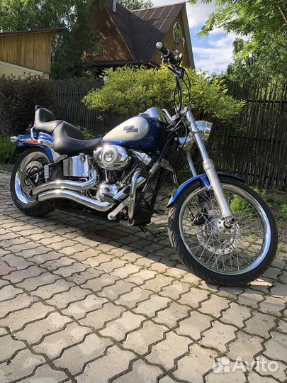 Harley Davidson Softail Custom 2008