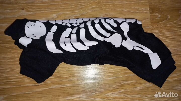 Одежда для собак