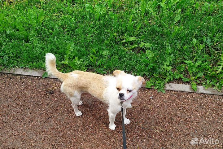 Чудесная крошка, девочка