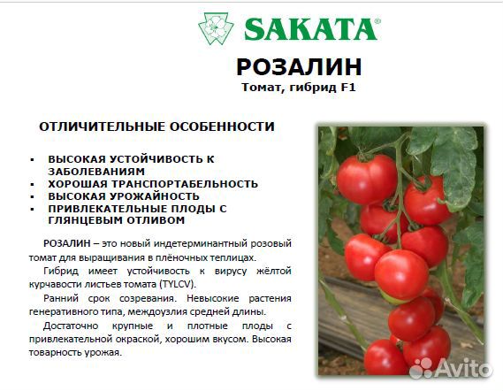 Пинк Парадайз F1 семена томата саката