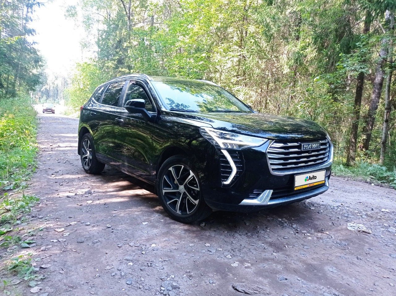 HAVAL Jolion: фото владельца