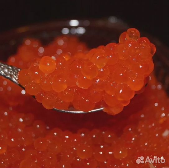 Икра красная. Кеты, Нерки, Кижуча, Горбуши, Щуки