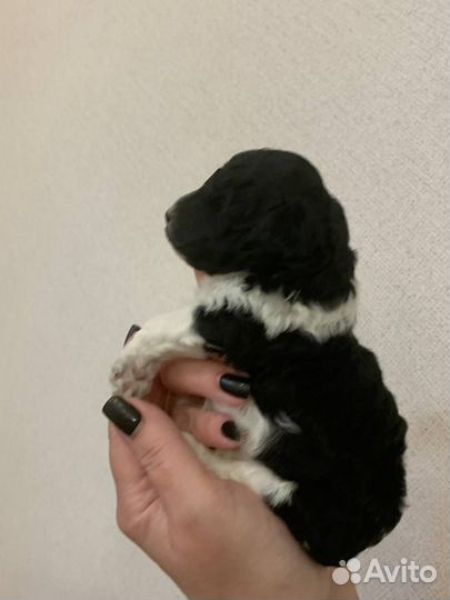 Раннее бронирование