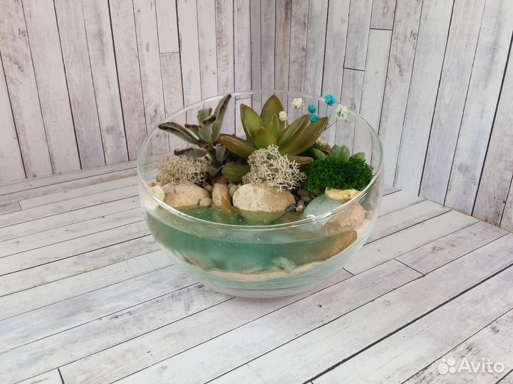 Флорариум полусфера
