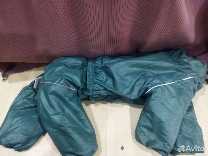 Дождевик и куртки для собак