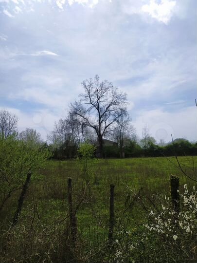 Участок (Абхазия)