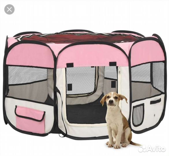 Передержка для кошек, попугаев и грызунов