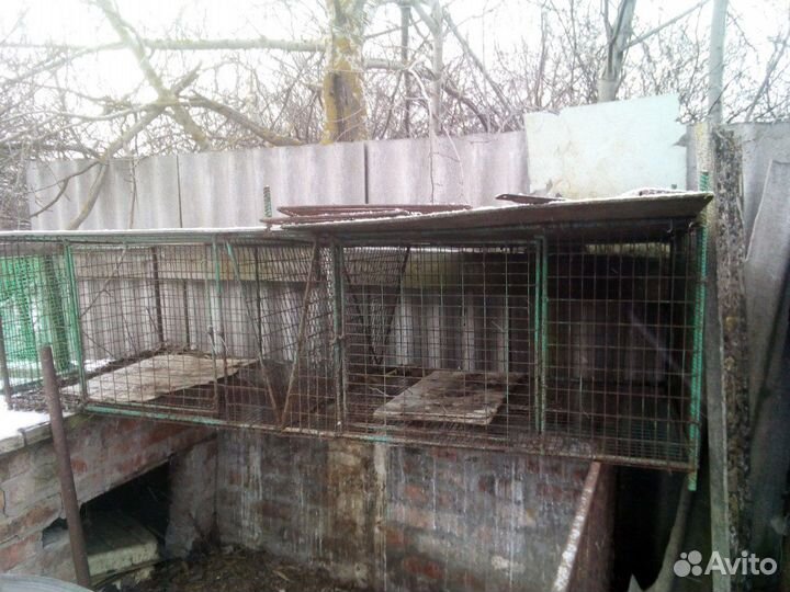 Клетка для кроликов