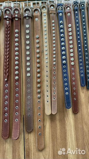 Амуниция для собак