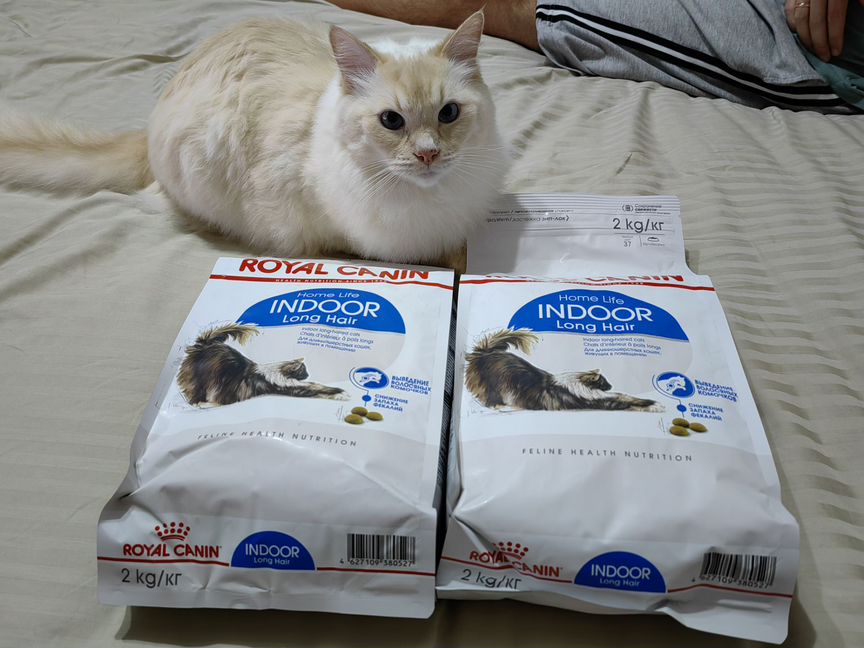 Корм для кошек royal canin indoor