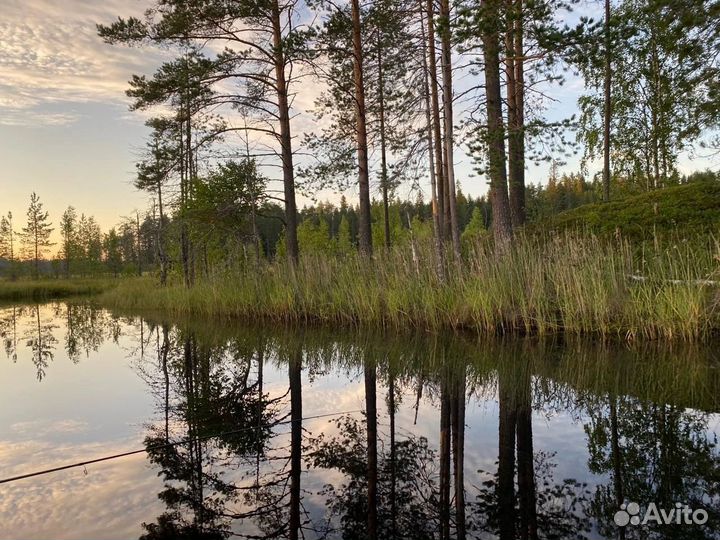 Водные прогулки на катере, Валаам, Ладожские шхеры