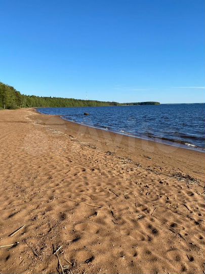 Участок 13,5 сот. (ИЖС)