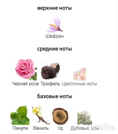 Tom Ford Noir de Noir