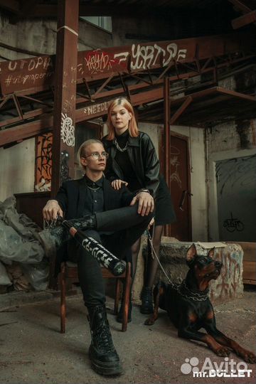 Доберман для фотосессии