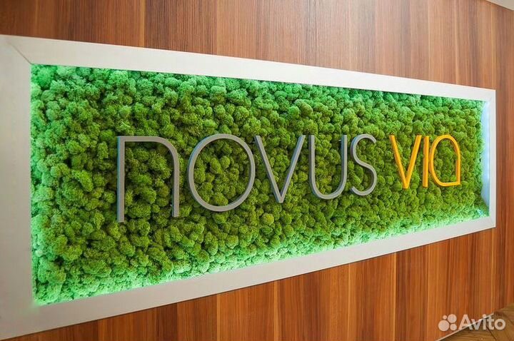 Логотипы, буквы, вывески со стабилизированным мхом