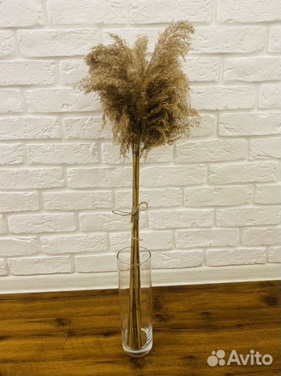 Пампасная трава