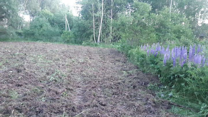 Участок 10 сот. (СНТ, ДНП)