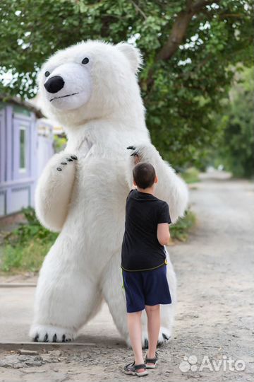 Большой белый мишка и кот. Поздравление с музыкой