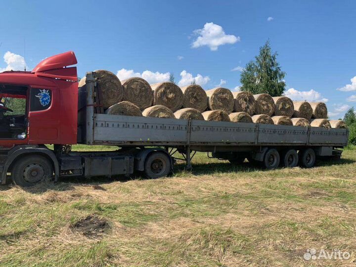 Сено в рулонах 120/120*250 кг