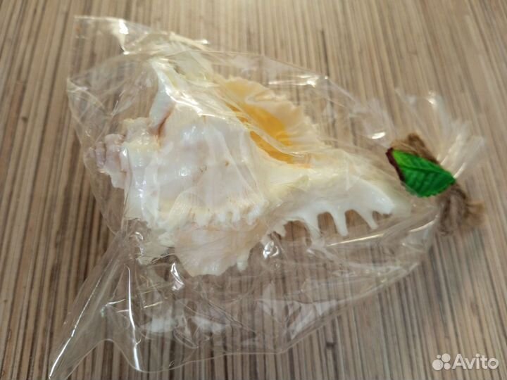 Свеча в натуральной раковине