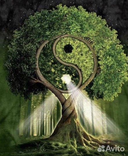 Психолог, расстановки