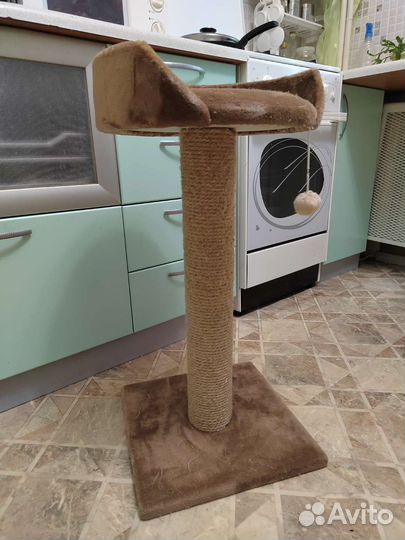 Когтеточка