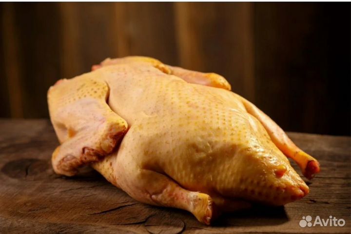 Утка домашняя мясо