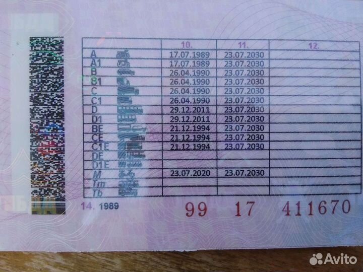 Трезвый водитель ктегории авсdе