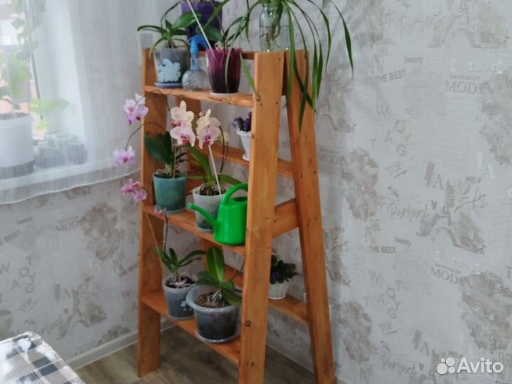 Стеллаж для рассады цветов