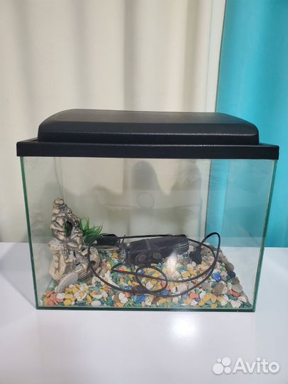 Аквариум